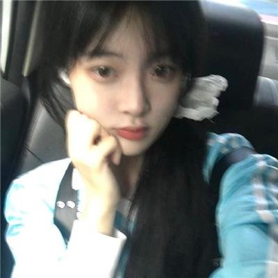 大白鲨2